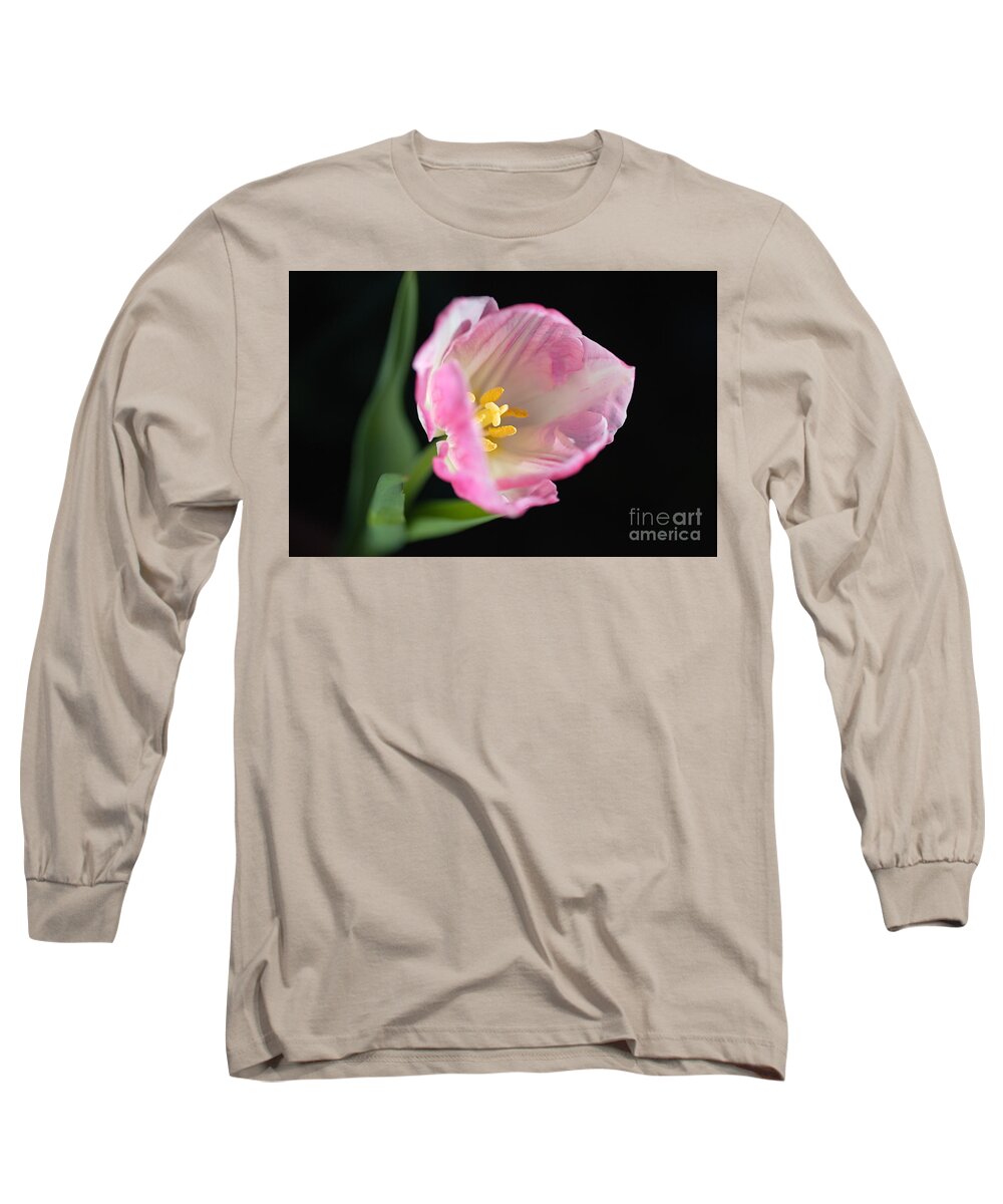 Disambiguation Long Sleeve T-Shirt featuring the photograph Opening Pink Soft White Tulip by Joy Watson