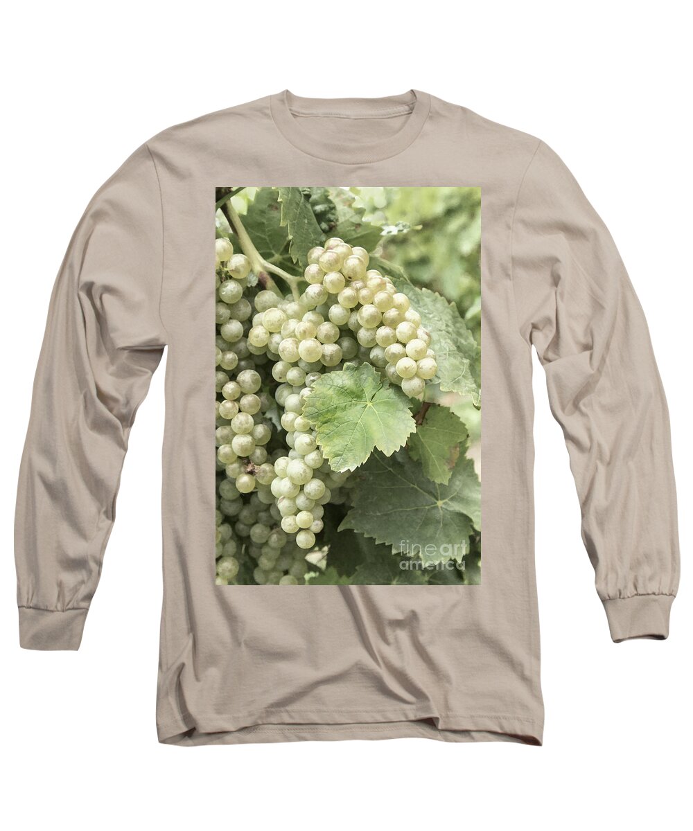 Autumn Colours Long Sleeve T-Shirt featuring the photograph Pearls of the Vineyard by Marilyn Cornwell