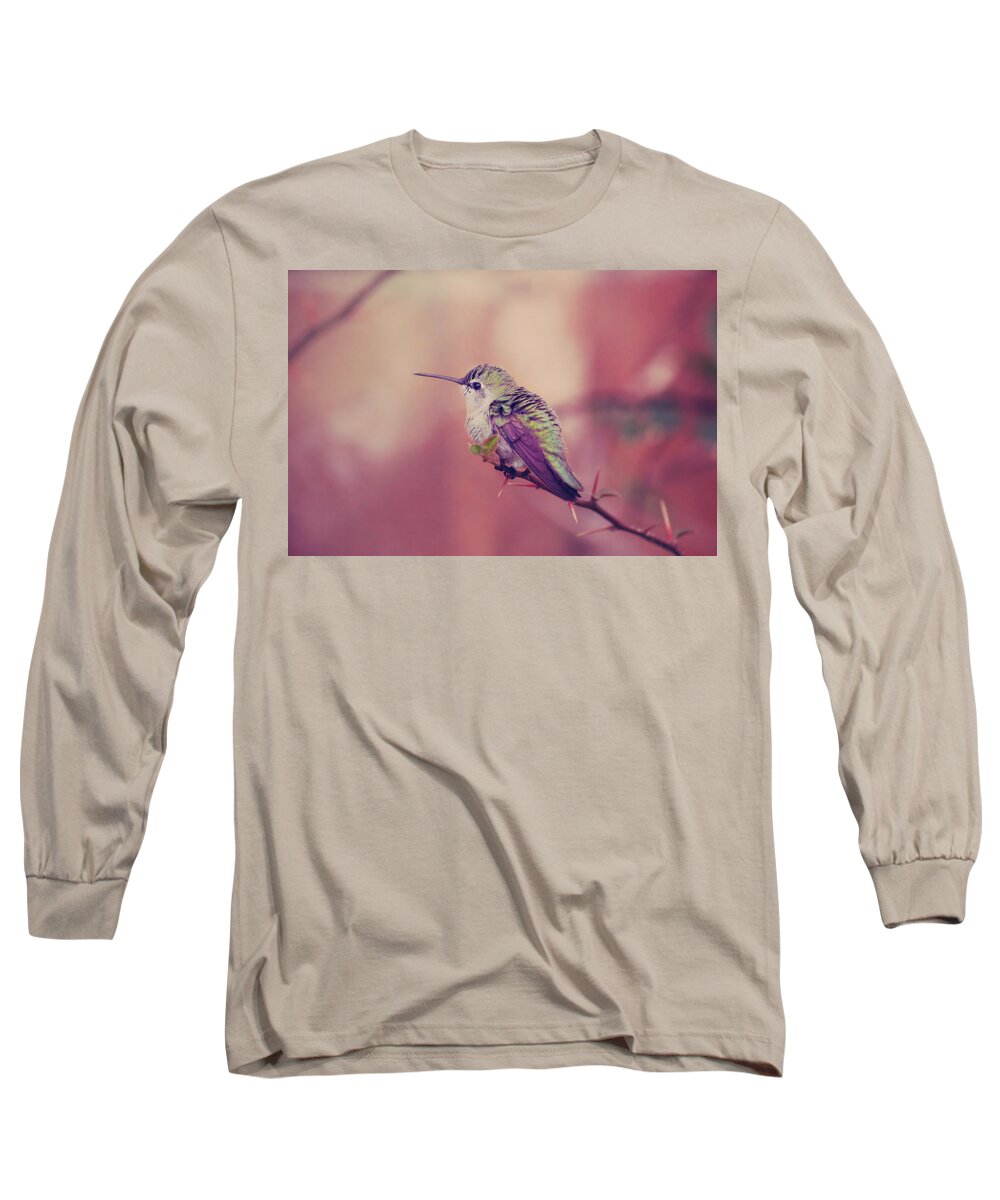 Hummingbirds Long Sleeve T-Shirt featuring the photograph Perch by Laurie Search