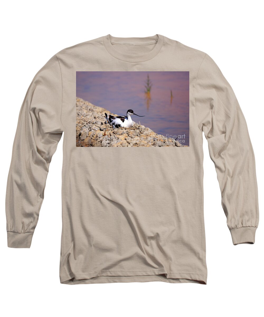 Avocet Long Sleeve T-Shirt featuring the photograph Pied avocet . by Frederic Bourrigaud