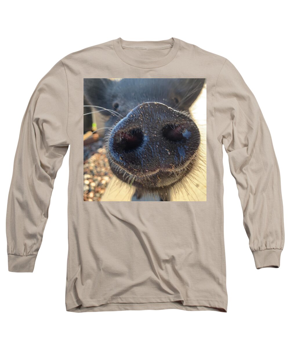 Pig Long Sleeve T-Shirt featuring the photograph Snout of Love by Lee Darnell