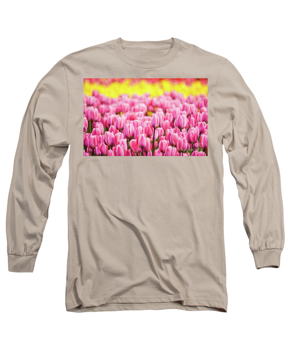 Tulips Long Sleeve T-Shirt featuring the photograph Pink Beauties by Dheeraj Mutha
