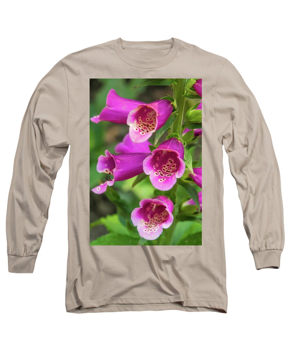 Pink Long Sleeve T-Shirt featuring the photograph Pink Bells by Leslie Struxness