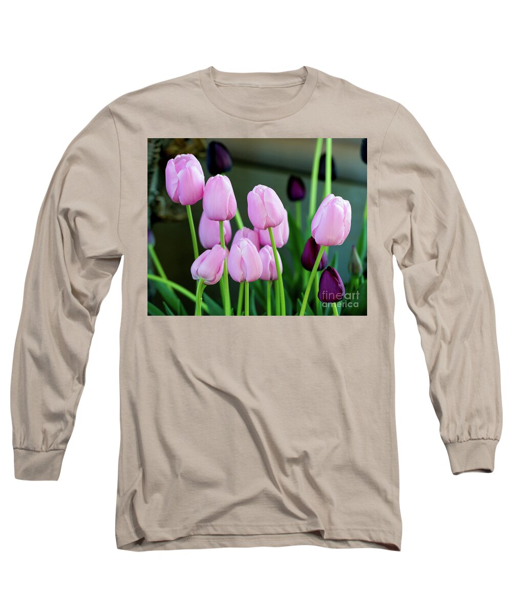 Pink Tulips Long Sleeve T-Shirt featuring the photograph Pink Tulips, 1 by Glenn Franco Simmons