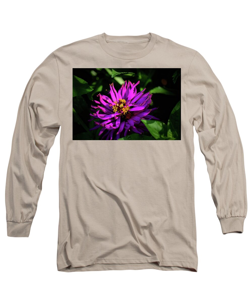 Plants Long Sleeve T-Shirt featuring the photograph Purple sunshine by Buddy Scott