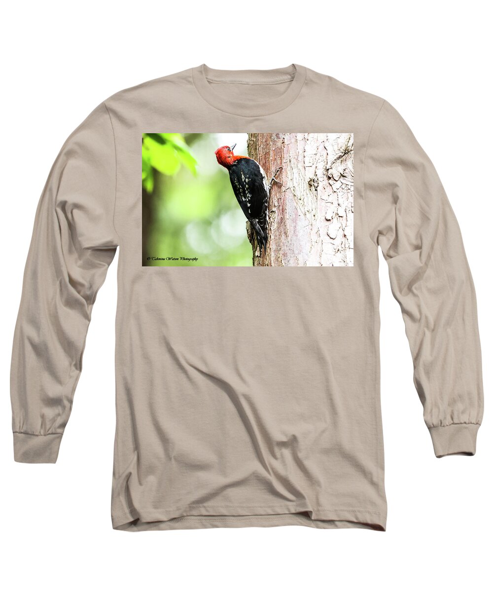 Woodpecker Long Sleeve T-Shirt featuring the photograph Red-breasted sapsucker by Tahmina Watson