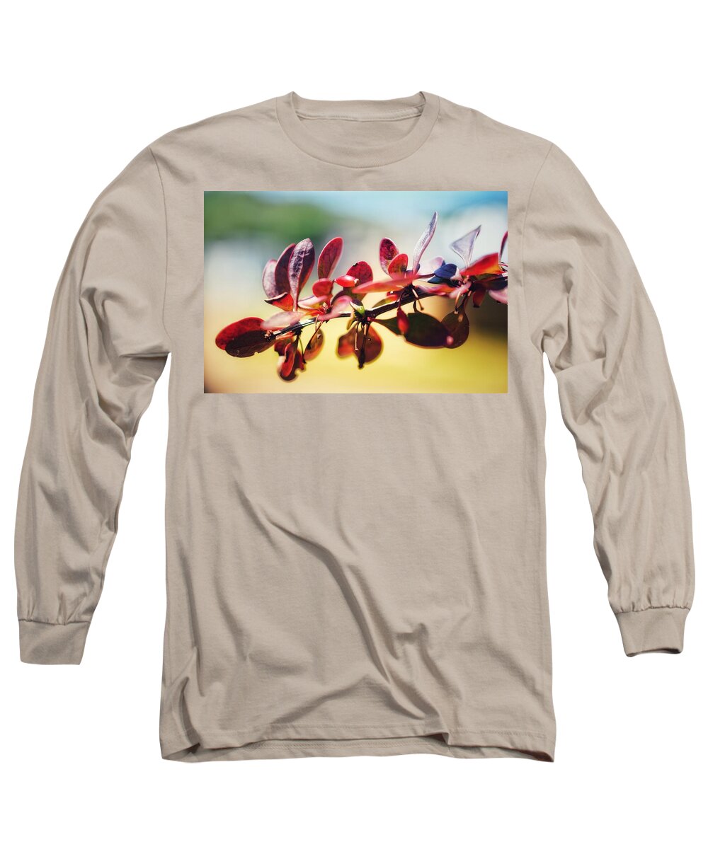 Berries Long Sleeve T-Shirt featuring the photograph Red on Red by Evan Foster