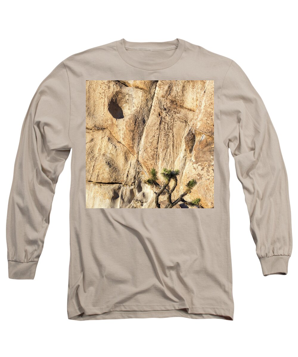 Joshua Tree National Park Long Sleeve T-Shirt featuring the photograph Rock Art Joshua Tree National Park by Joseph S Giacalone