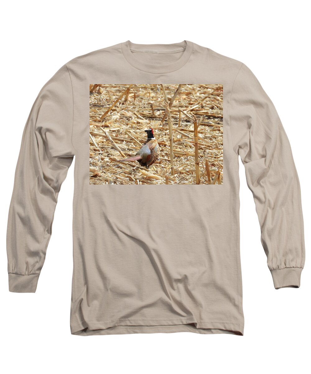 Pheasant Long Sleeve T-Shirt featuring the photograph Running Pheasant by Amanda R Wright