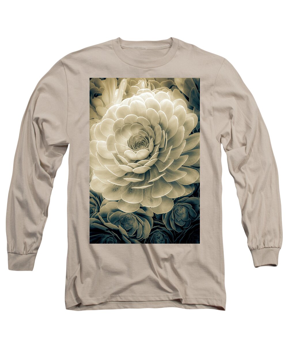 Zen Long Sleeve T-Shirt featuring the photograph Santa Barbara Succulent#19 by Jennifer Wright