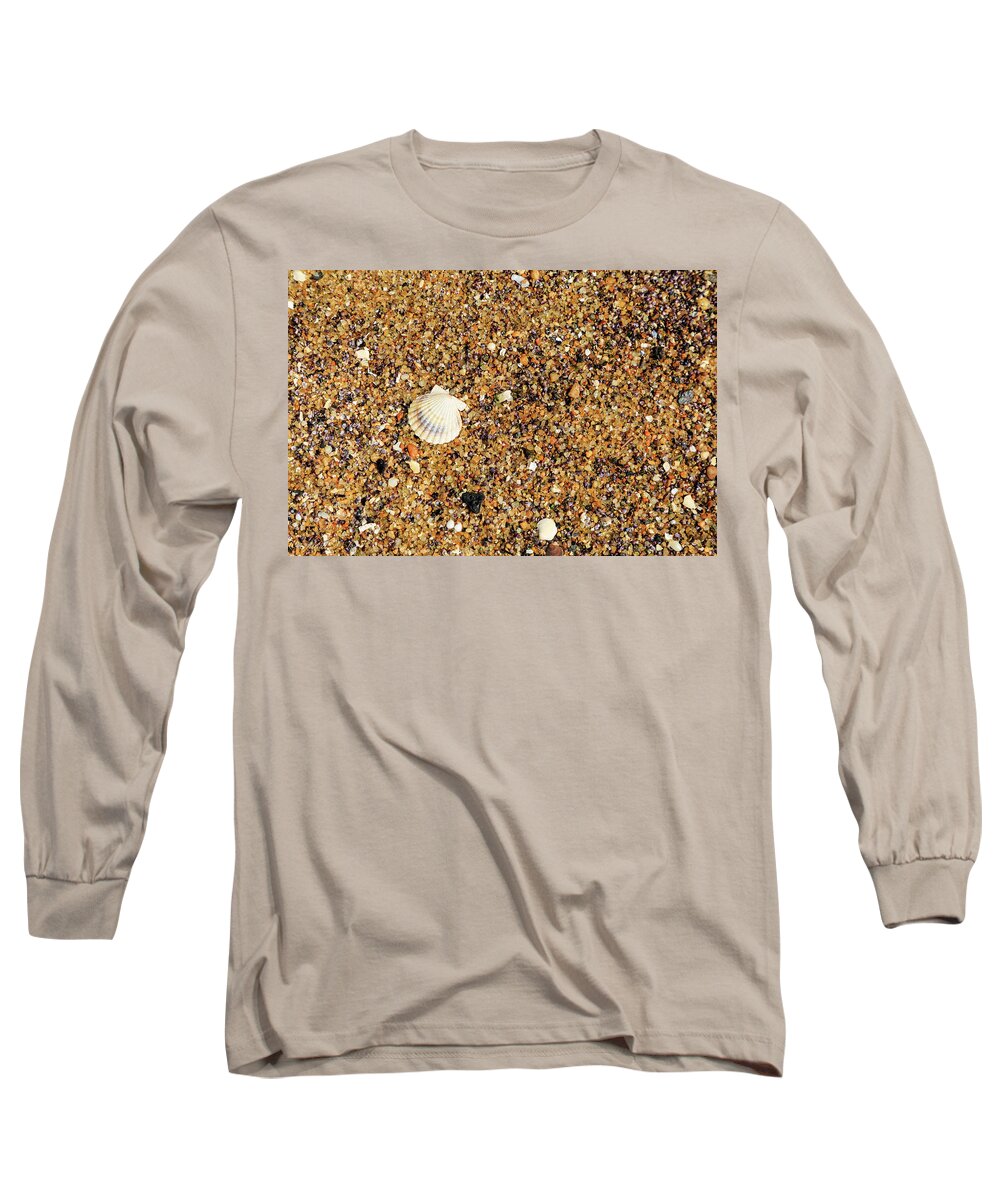 Seascape Long Sleeve T-Shirt featuring the photograph Scallop Shell by David Lee