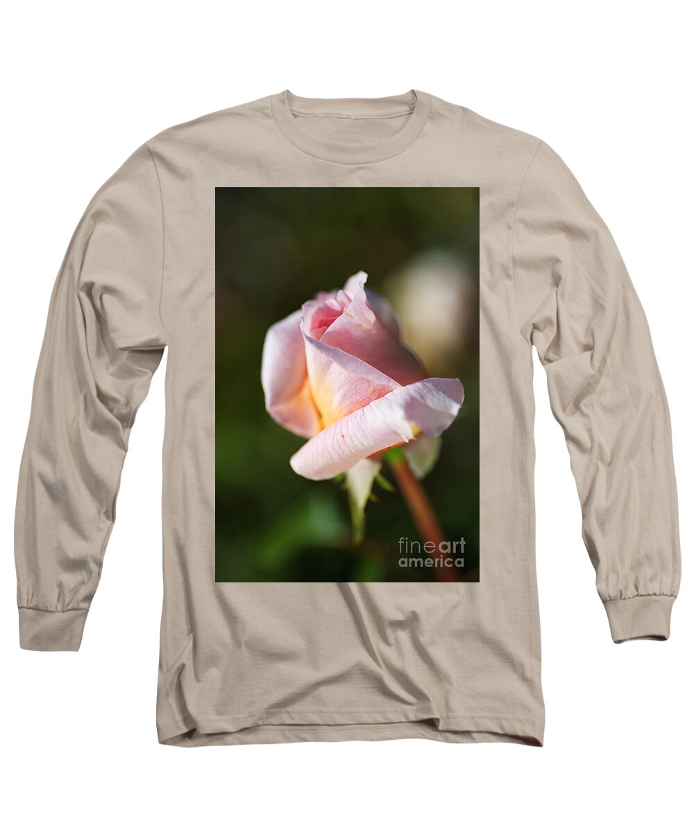 Abraham Darby Rose Flower Long Sleeve T-Shirt featuring the photograph Shy Pink Rose Bud by Joy Watson