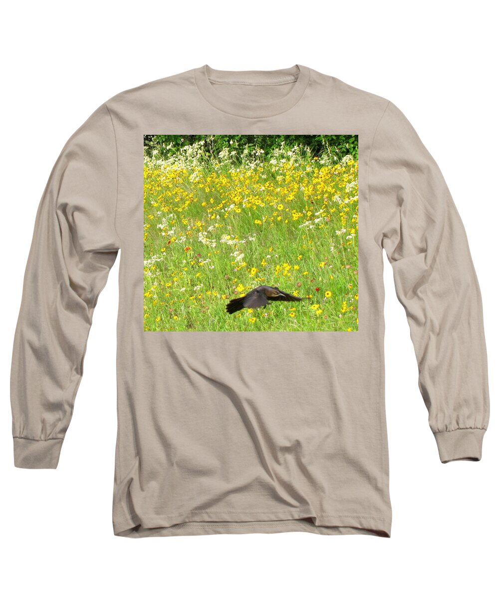 Small Bird In Flight Long Sleeve T-Shirt featuring the photograph Small Bird in Flight by Don Varney