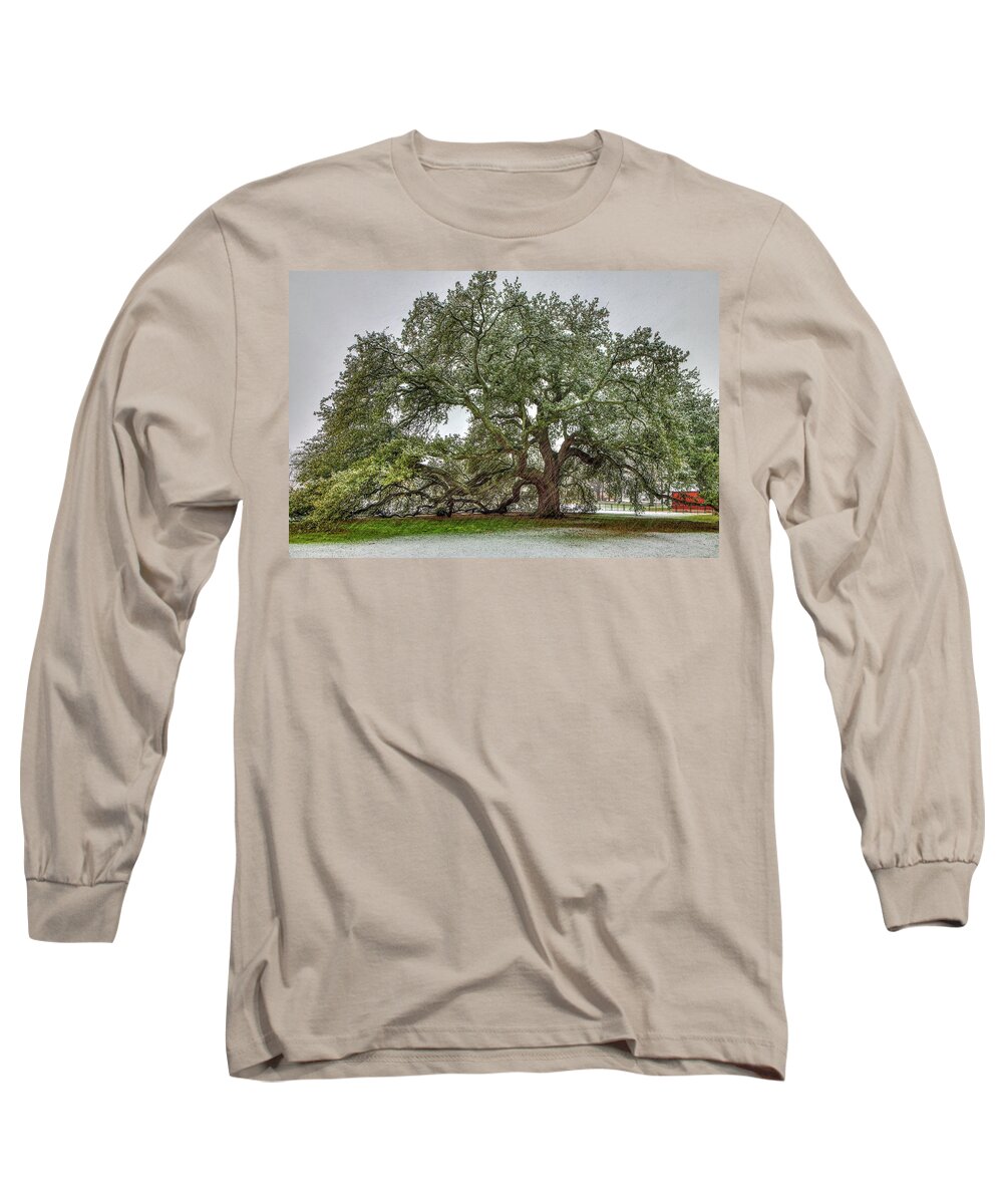 Emancipation Oak Long Sleeve T-Shirt featuring the photograph Snowfall on Emancipation Oak Tree by Jerry Gammon