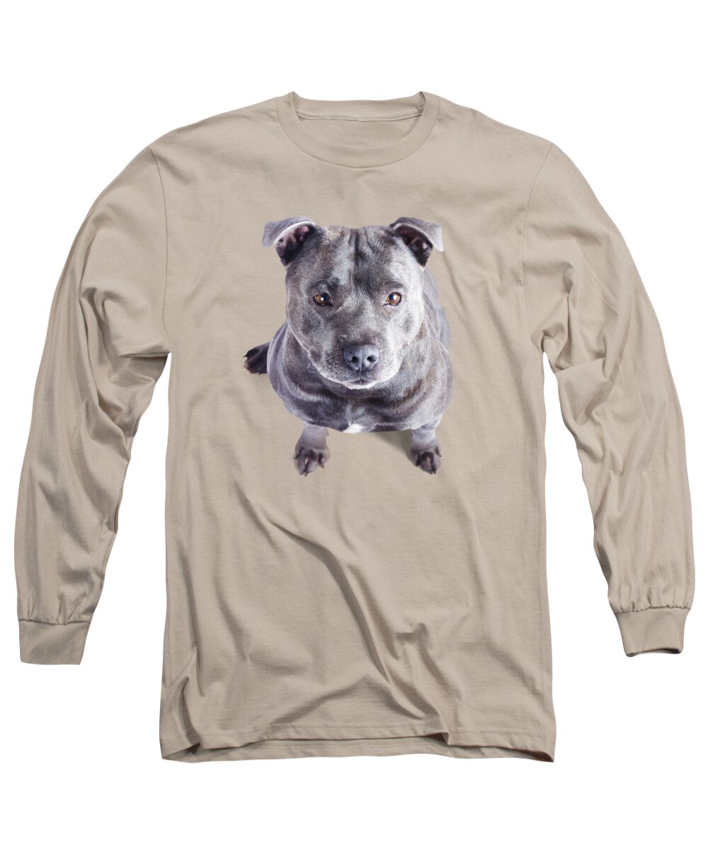 Dog Long Sleeve T-Shirt featuring the photograph Staffordshire Bull Terrier by Jorgo Photography