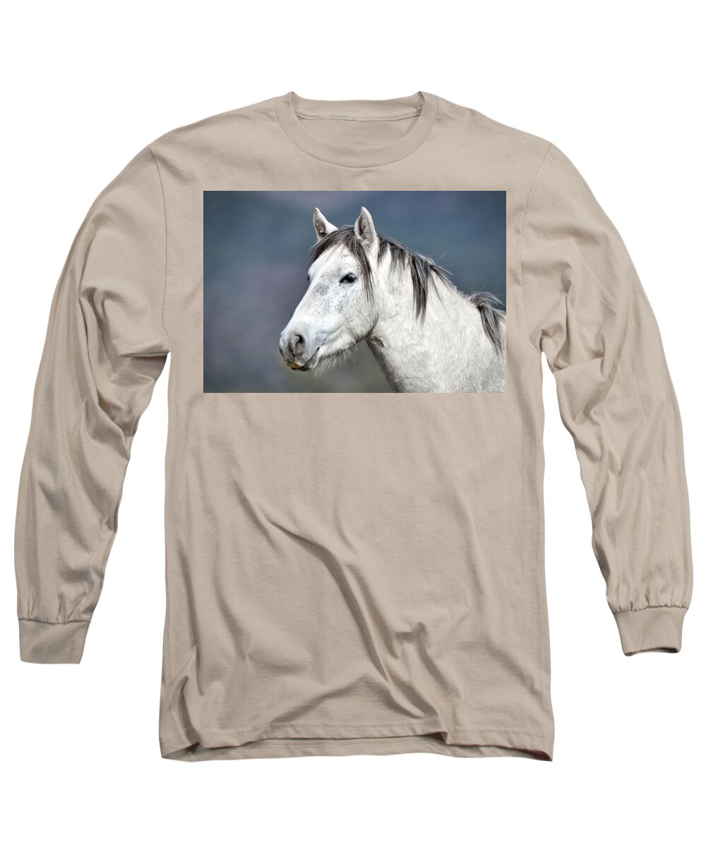 Wild Horses Long Sleeve T-Shirt featuring the photograph Stallion Portrait by American Landscapes