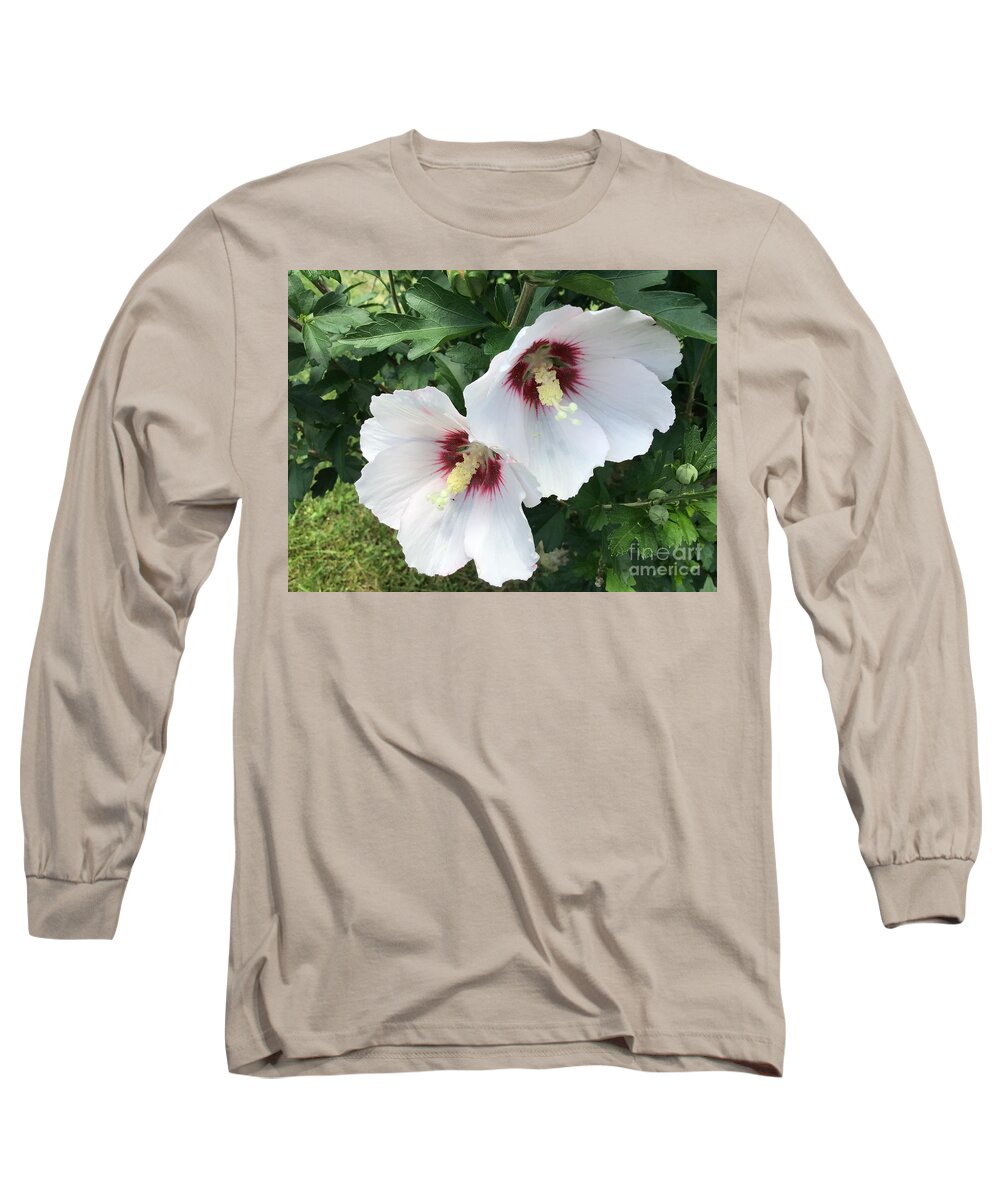 Rose Of Sharon Long Sleeve T-Shirt featuring the photograph Hibiscus Sticking Together 2 by Catherine Wilson