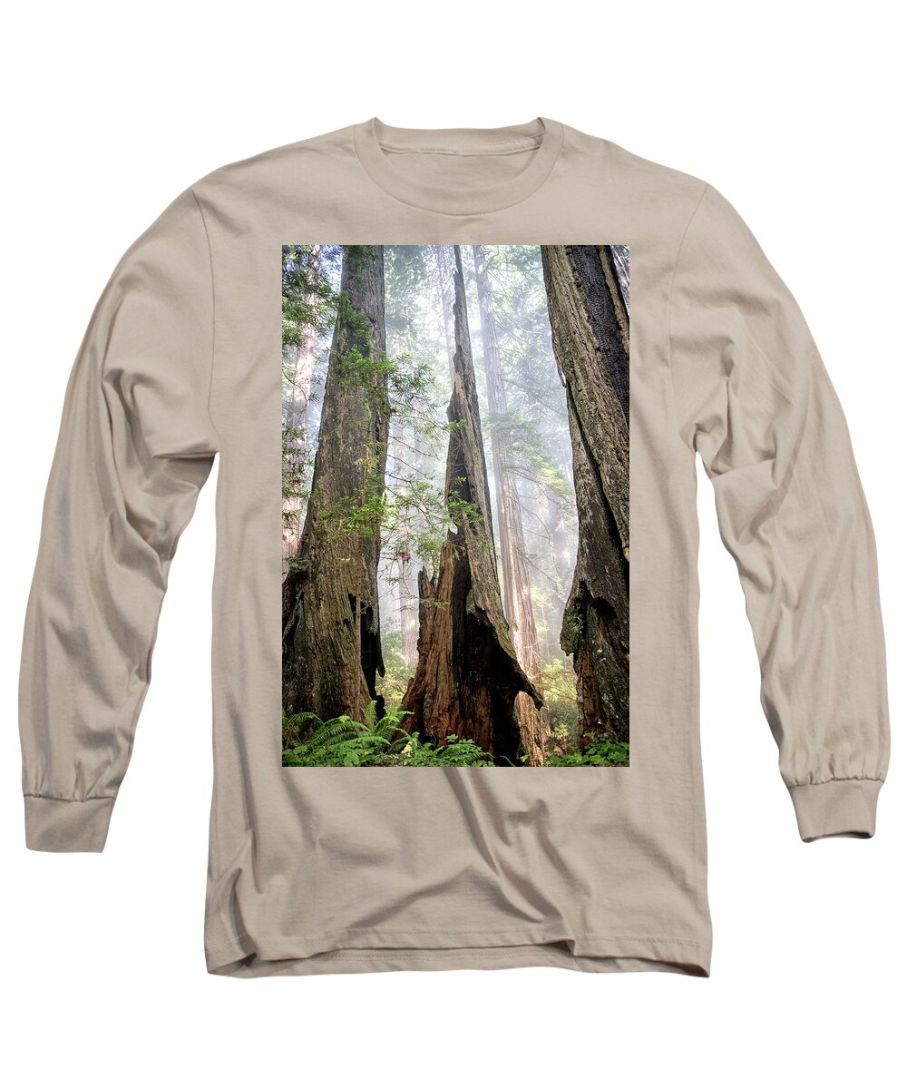 Forest Long Sleeve T-Shirt featuring the photograph Still Majestic by Betty Depee