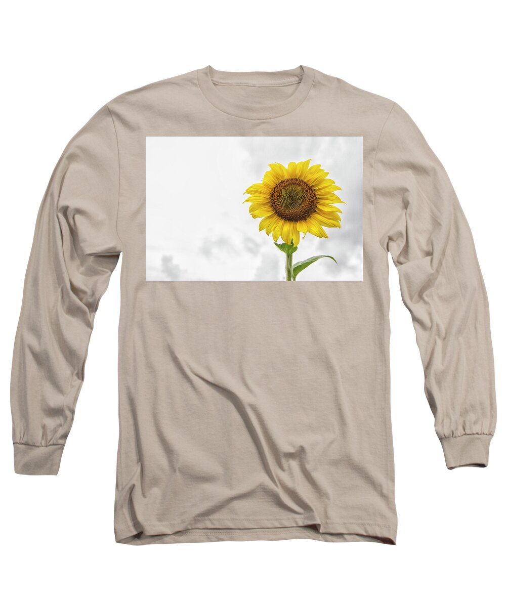 Sunflower Long Sleeve T-Shirt featuring the photograph Sunflower Against a Carolina Sky by Bob Decker