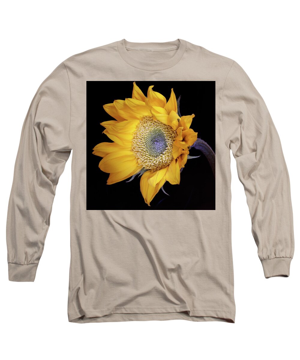Botanical Long Sleeve T-Shirt featuring the photograph Sunflower Square by Julie Powell