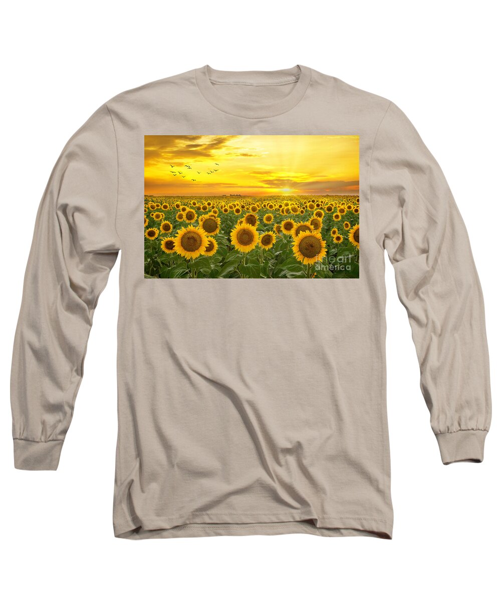 Sunflower Long Sleeve T-Shirt featuring the photograph Sunrays and Sunflowers by Ronda Kimbrow