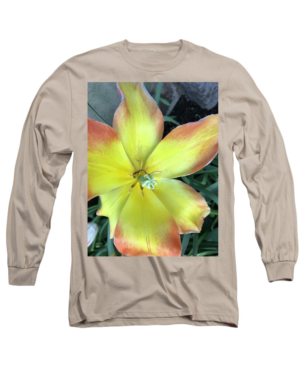 Floral Long Sleeve T-Shirt featuring the photograph Take A Look Inside by Mona Remedios Stickley