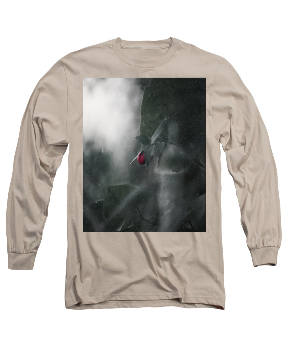 Natura Long Sleeve T-Shirt featuring the photograph The Magic Forest by Auranatura Art