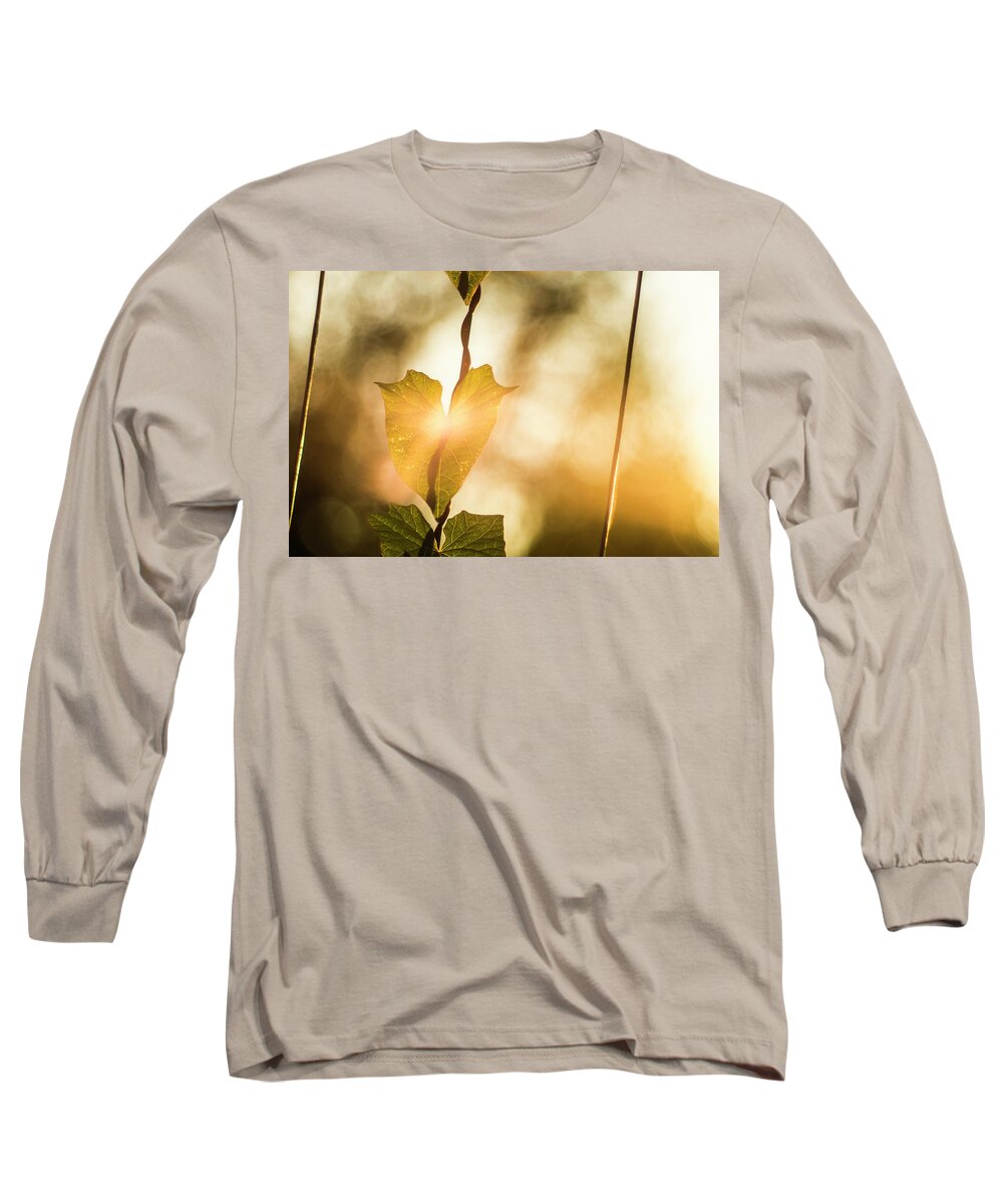 Plant Long Sleeve T-Shirt featuring the photograph The touch of dawn by Maria Dimitrova