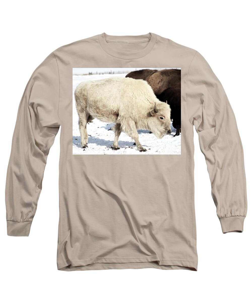 Buffalo Long Sleeve T-Shirt featuring the photograph Unique Treasure by Shirley Dutchkowski