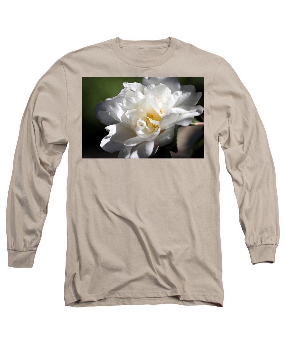 Camellia Long Sleeve T-Shirt featuring the photograph White Camellia III by Mingming Jiang