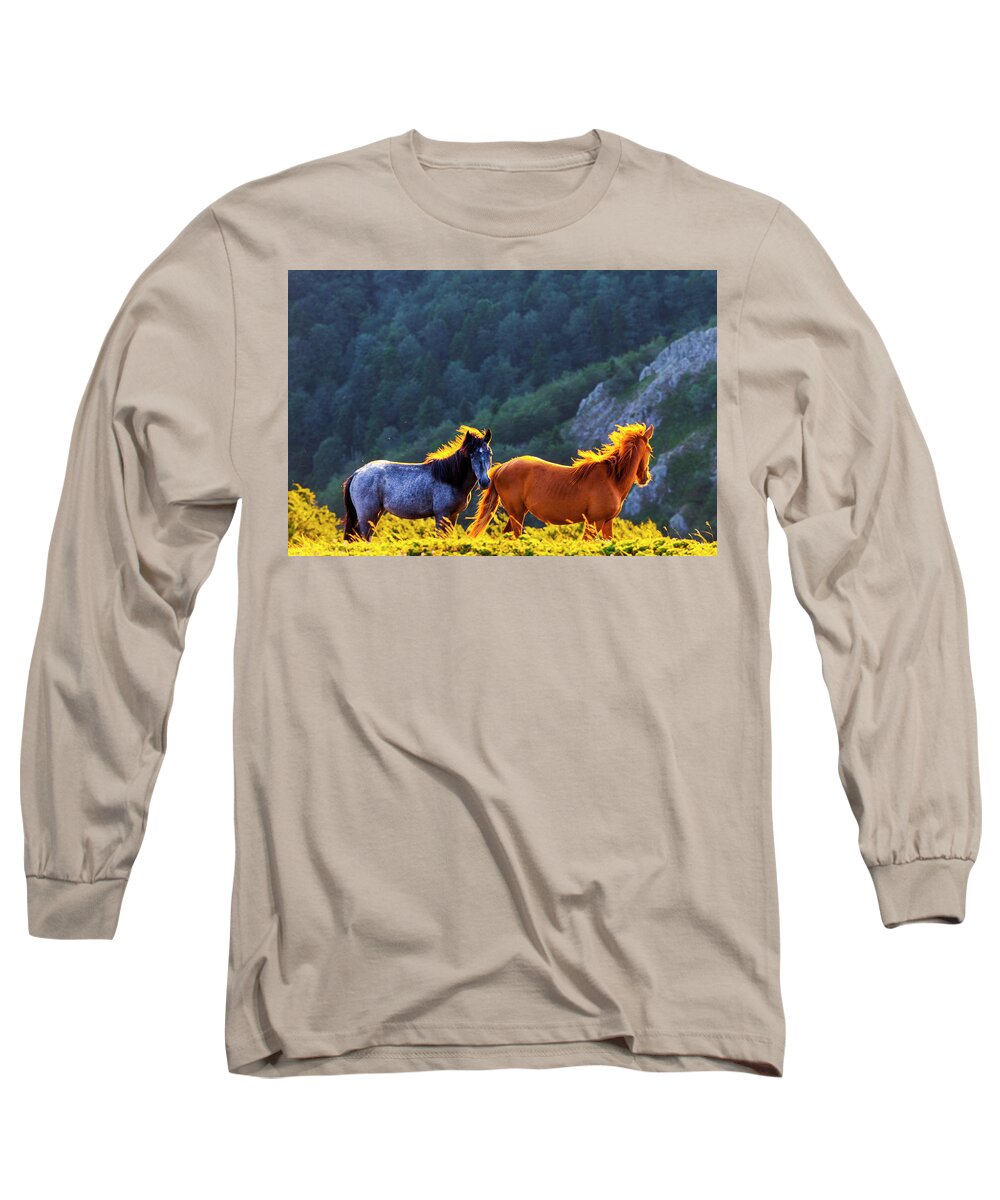 Balkan Mountains Long Sleeve T-Shirt featuring the photograph Wild Horses by Evgeni Dinev