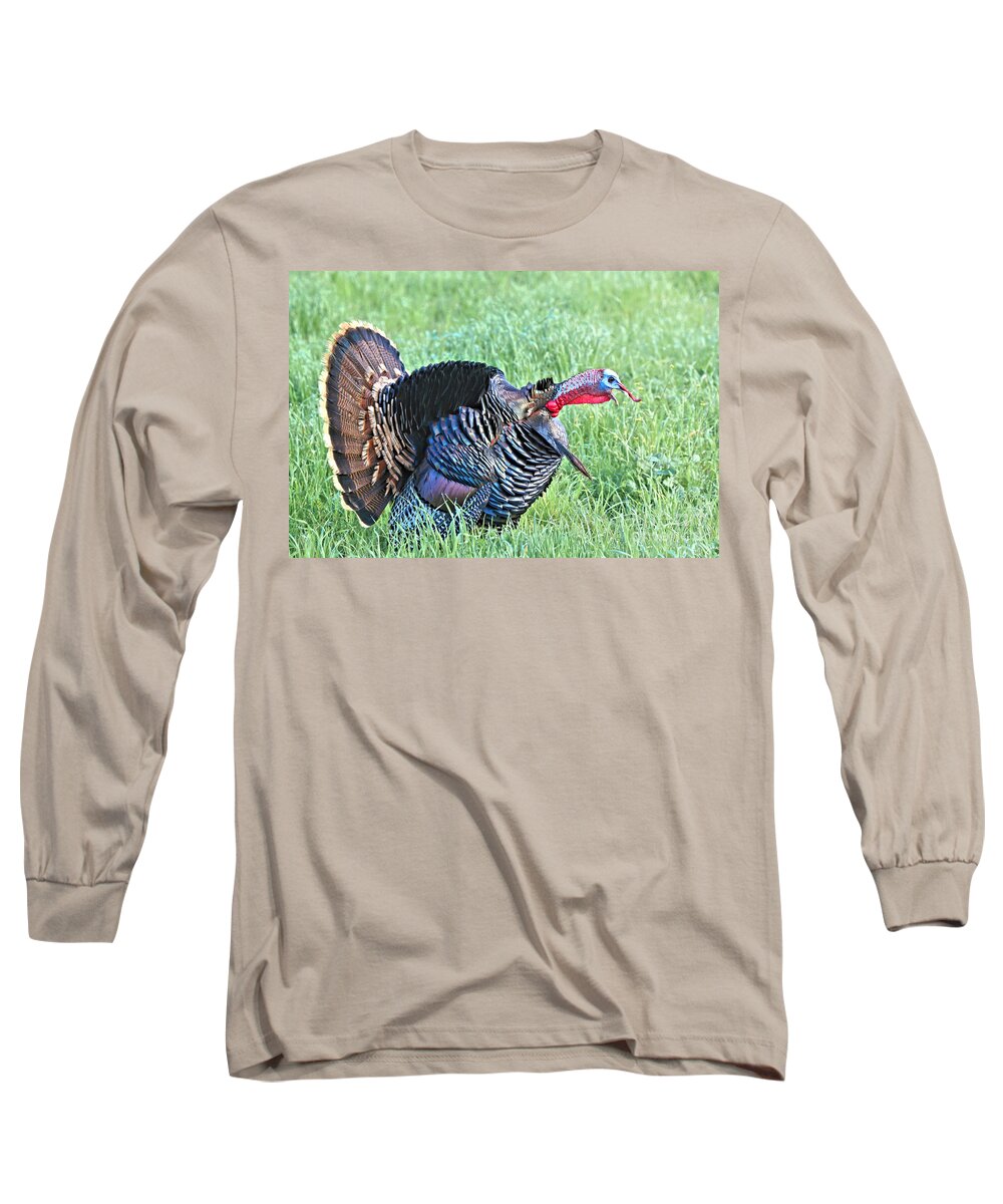 Turkey Long Sleeve T-Shirt featuring the photograph Wild Turkey by Vivian Krug Cotton