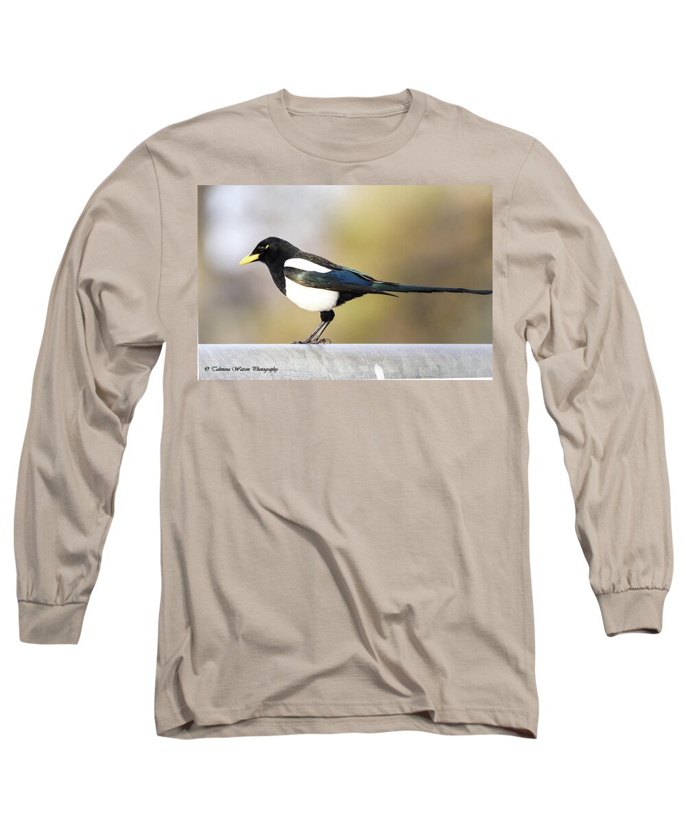 Magpie Long Sleeve T-Shirt featuring the photograph Yellow-billed magpie by Tahmina Watson