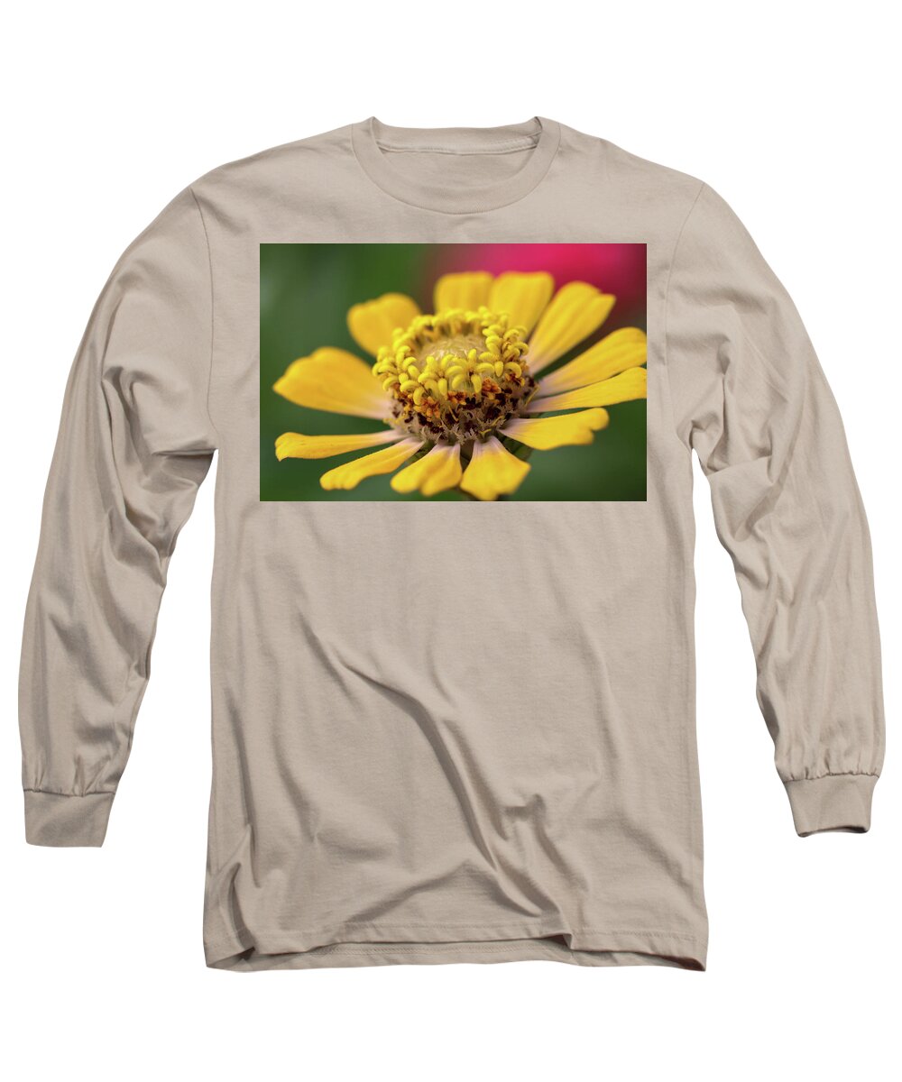 Zinnia Long Sleeve T-Shirt featuring the photograph Yellow Zinnia by Mary Anne Delgado