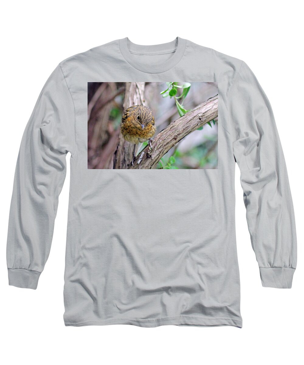 Baby Robin Long Sleeve T-Shirt featuring the photograph Baby Robin #1 by Tony Murtagh