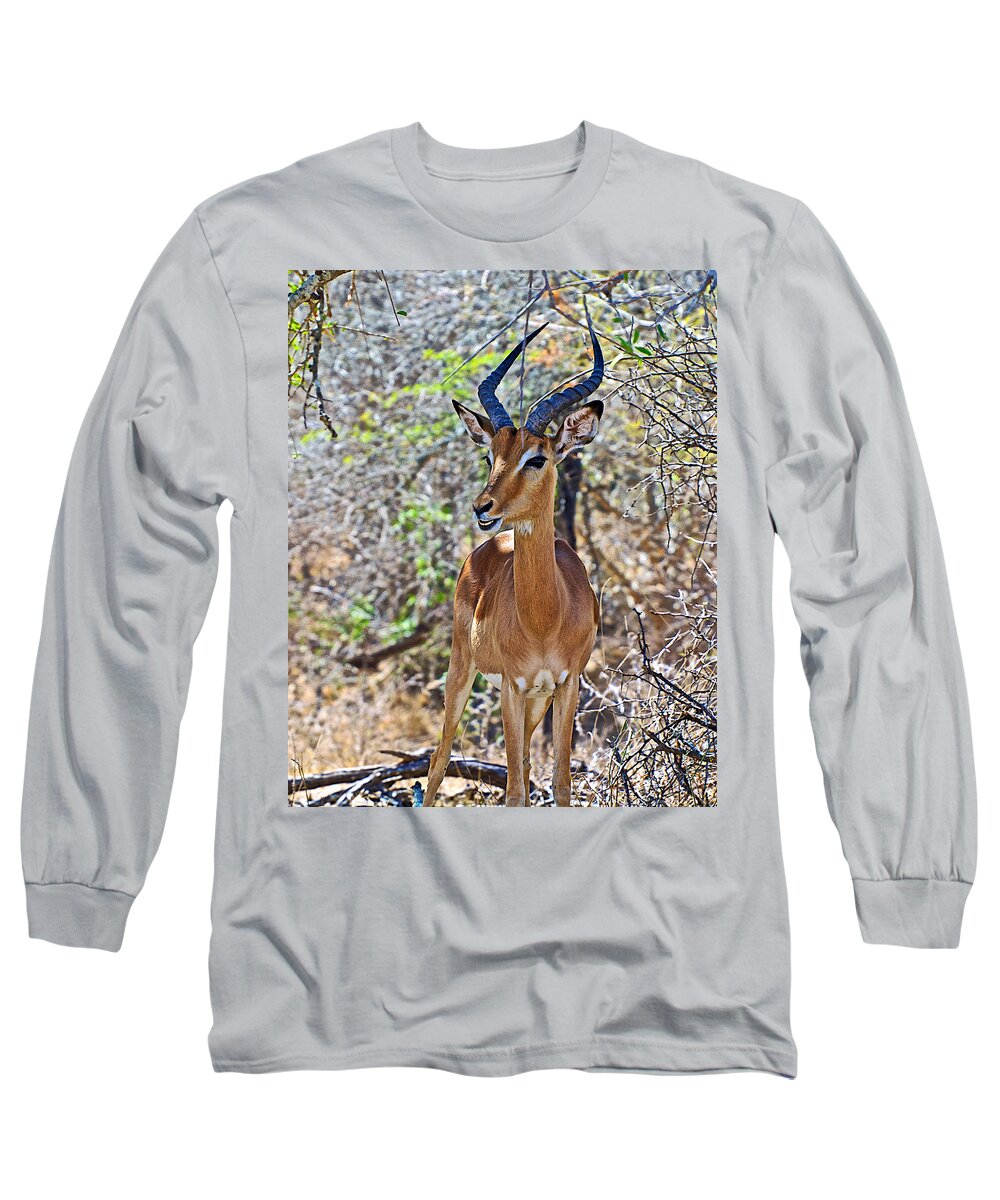 Male Impala In Kruger National Park-south Africa In Kruger National Park Long Sleeve T-Shirt featuring the photograph Male Impala in Kruger National Park-South Africa  #1 by Ruth Hager