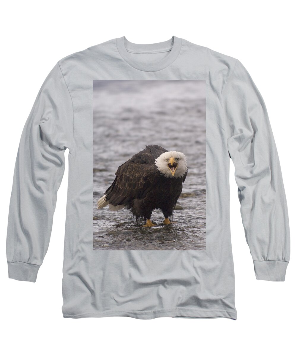 Feb0514 Long Sleeve T-Shirt featuring the photograph Bald Eagle Calling Alaska #2 by Michael Quinton