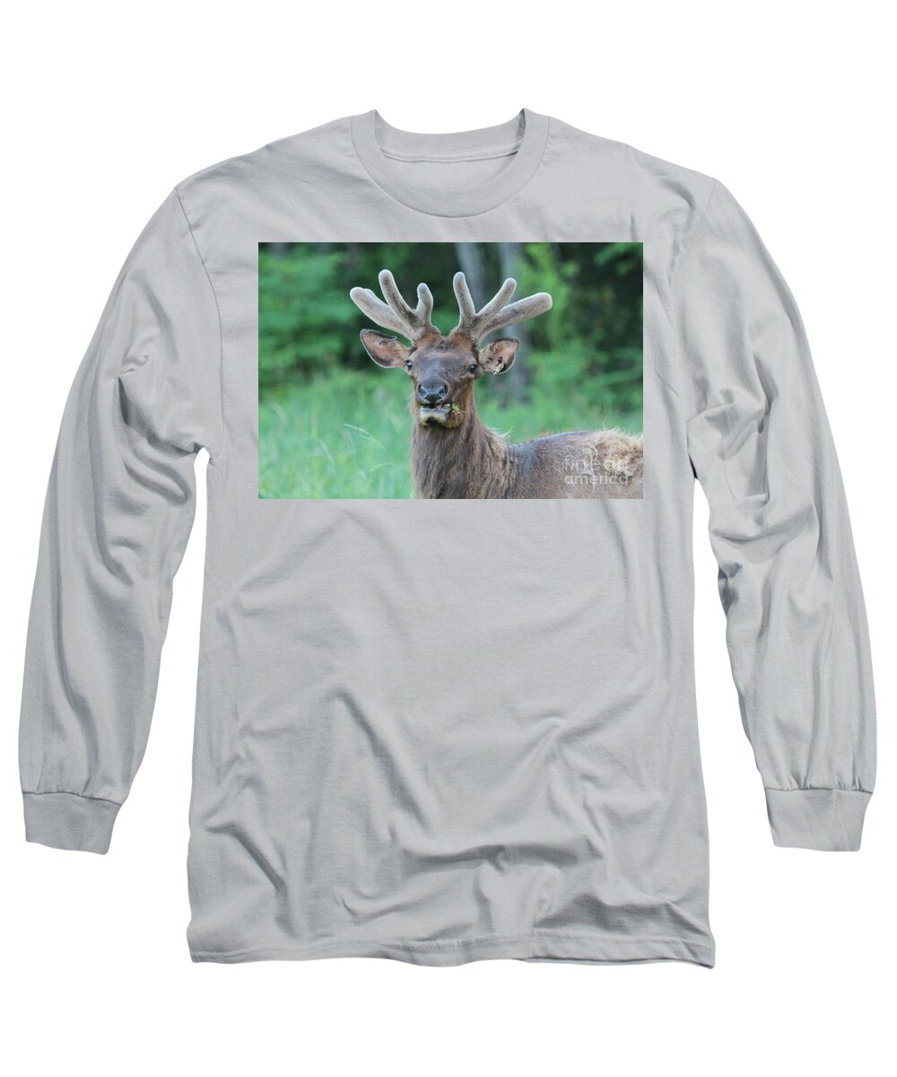 Elk Long Sleeve T-Shirt featuring the photograph Elk by Dwight Cook