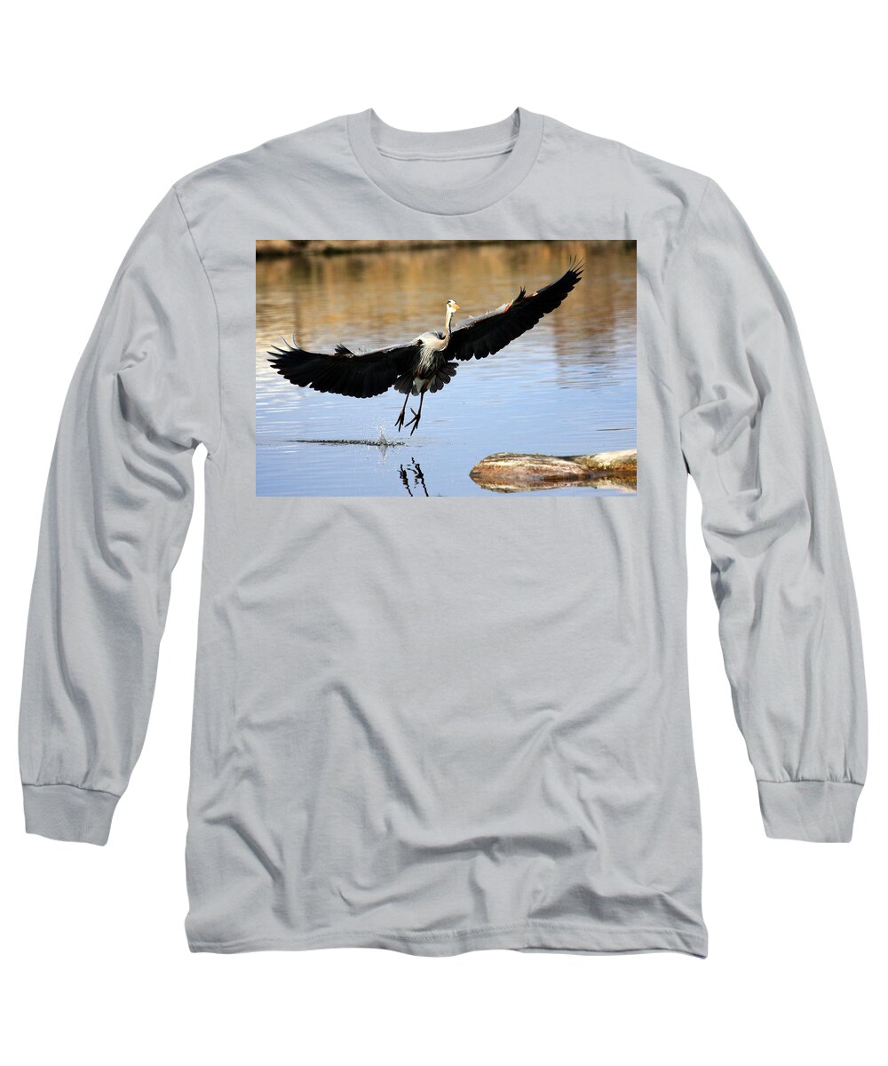 Great Blue Heron Long Sleeve T-Shirt featuring the photograph A Perfect Landing by Shane Bechler