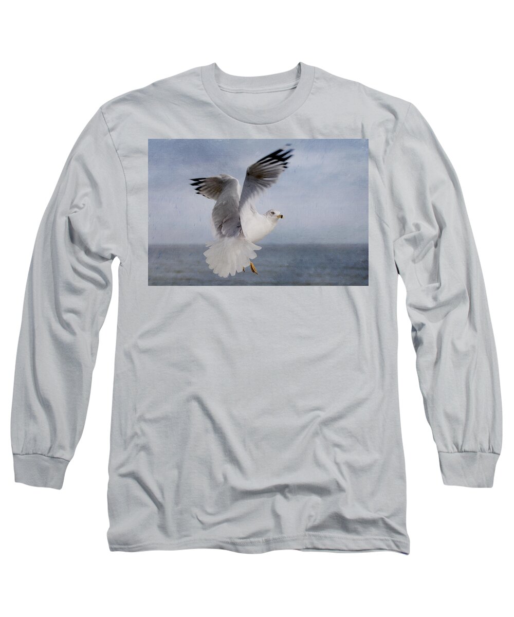 Bird Long Sleeve T-Shirt featuring the photograph Aloft II by Carol Erikson