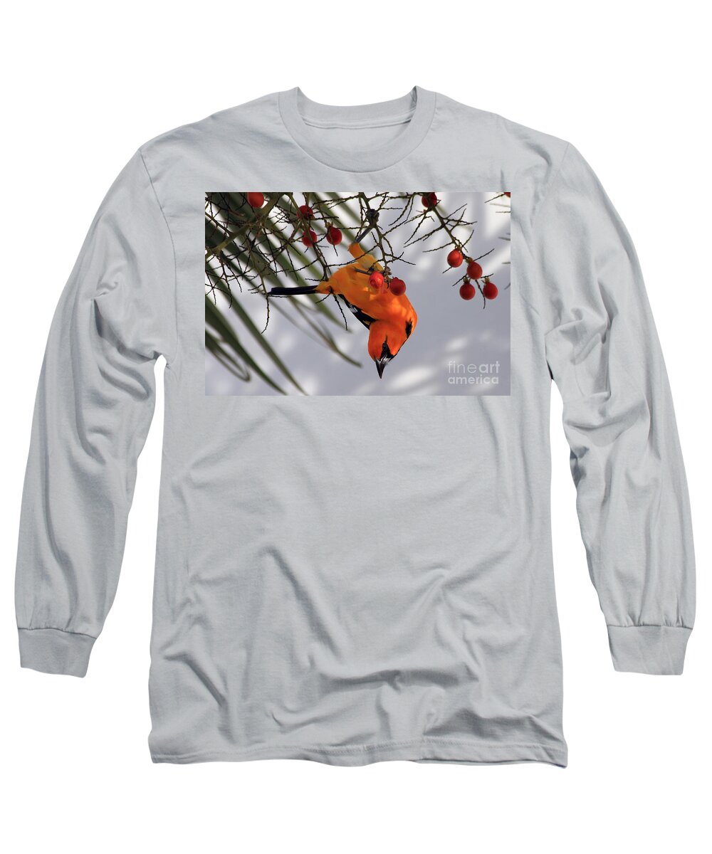 Bird Long Sleeve T-Shirt featuring the photograph Altamira Oriole by Teresa Zieba