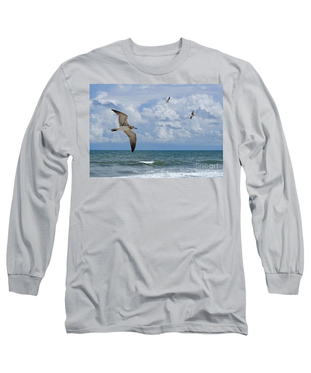 Beach Long Sleeve T-Shirt featuring the photograph As Birds Fly by Kathy Baccari