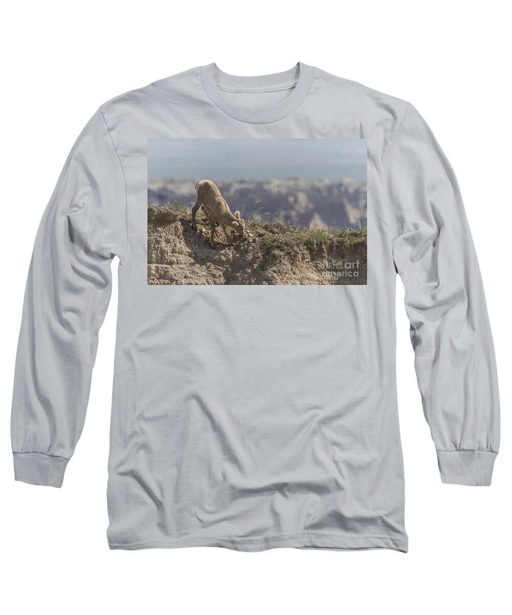 Bighorn Long Sleeve T-Shirt featuring the photograph Baby Bighorn In The Badlands by Steve Triplett