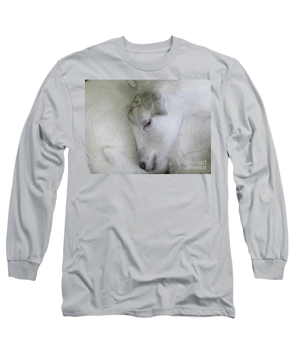 Goat Long Sleeve T-Shirt featuring the photograph Baby Goats by Ann Horn