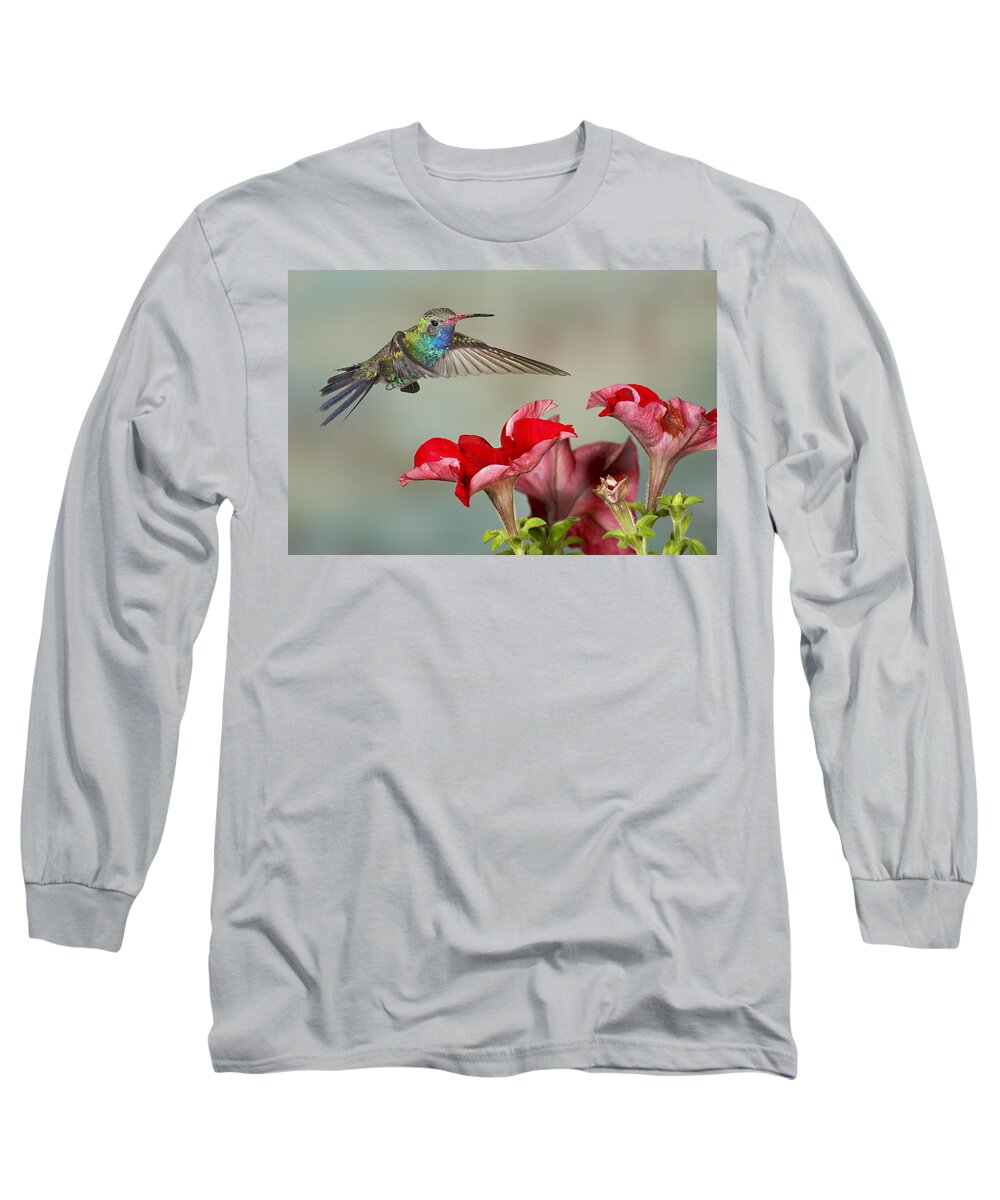 Action Long Sleeve T-Shirt featuring the photograph Broad billed Hummingbird 4 by Jack Milchanowski