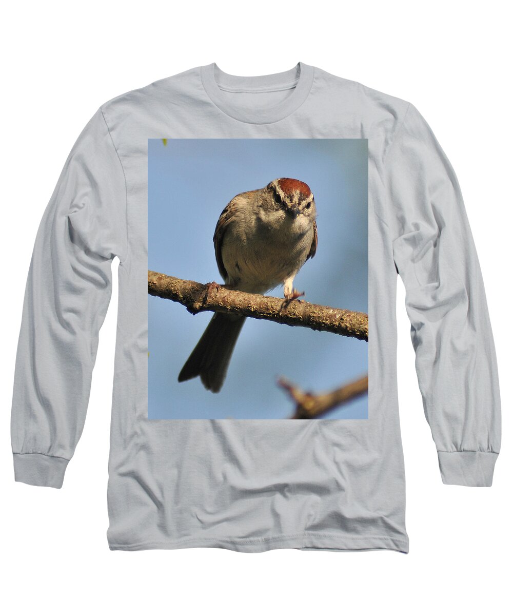 Sparrow Long Sleeve T-Shirt featuring the photograph Chipping Sparrow 265 by Gene Tatroe