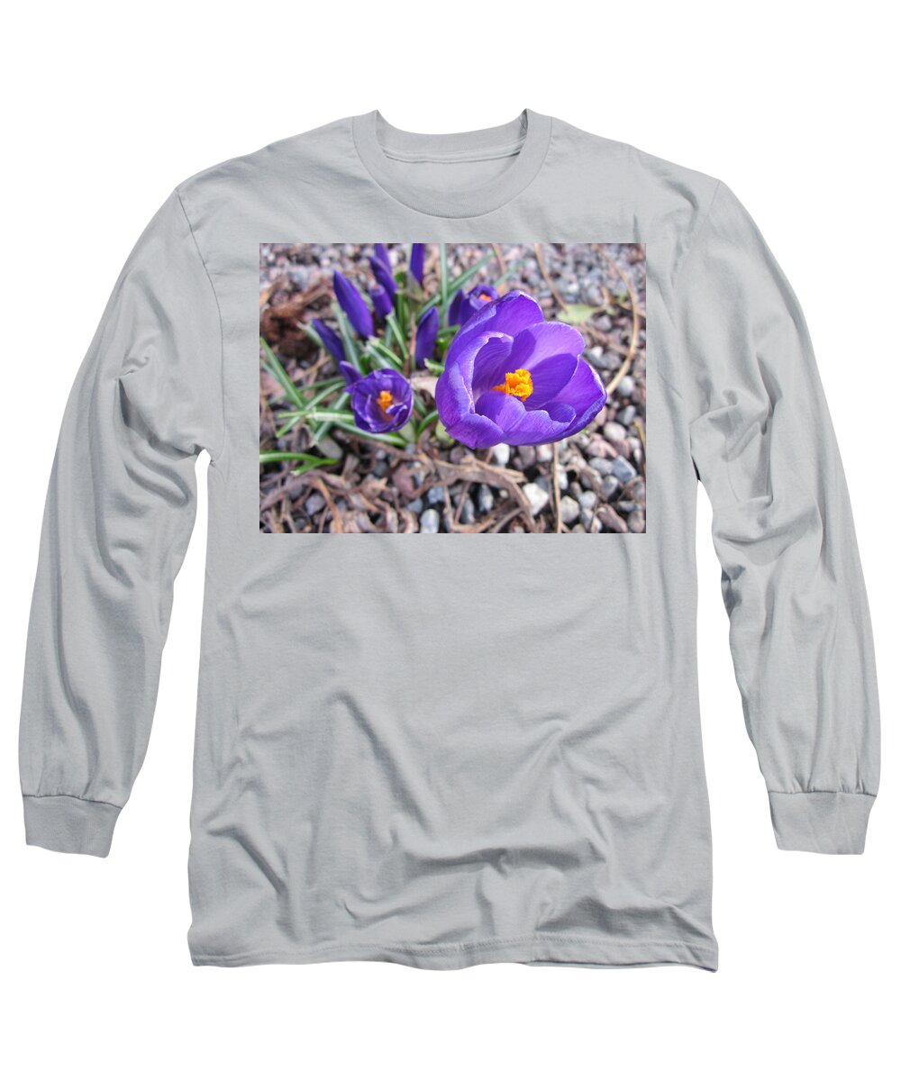 Blue Long Sleeve T-Shirt featuring the photograph Crocus sativus by Rosita Larsson