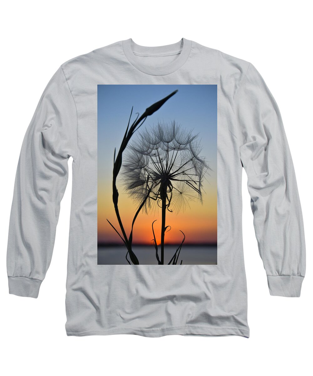 Dandy Lion Long Sleeve T-Shirt featuring the photograph Dandy Lion by Skip Hunt