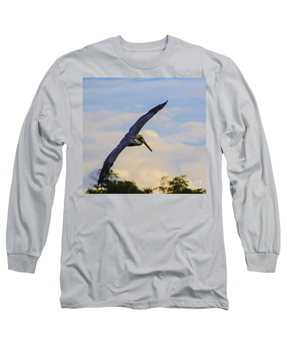 Pelican Long Sleeve T-Shirt featuring the photograph Fly Away by Judy Wolinsky