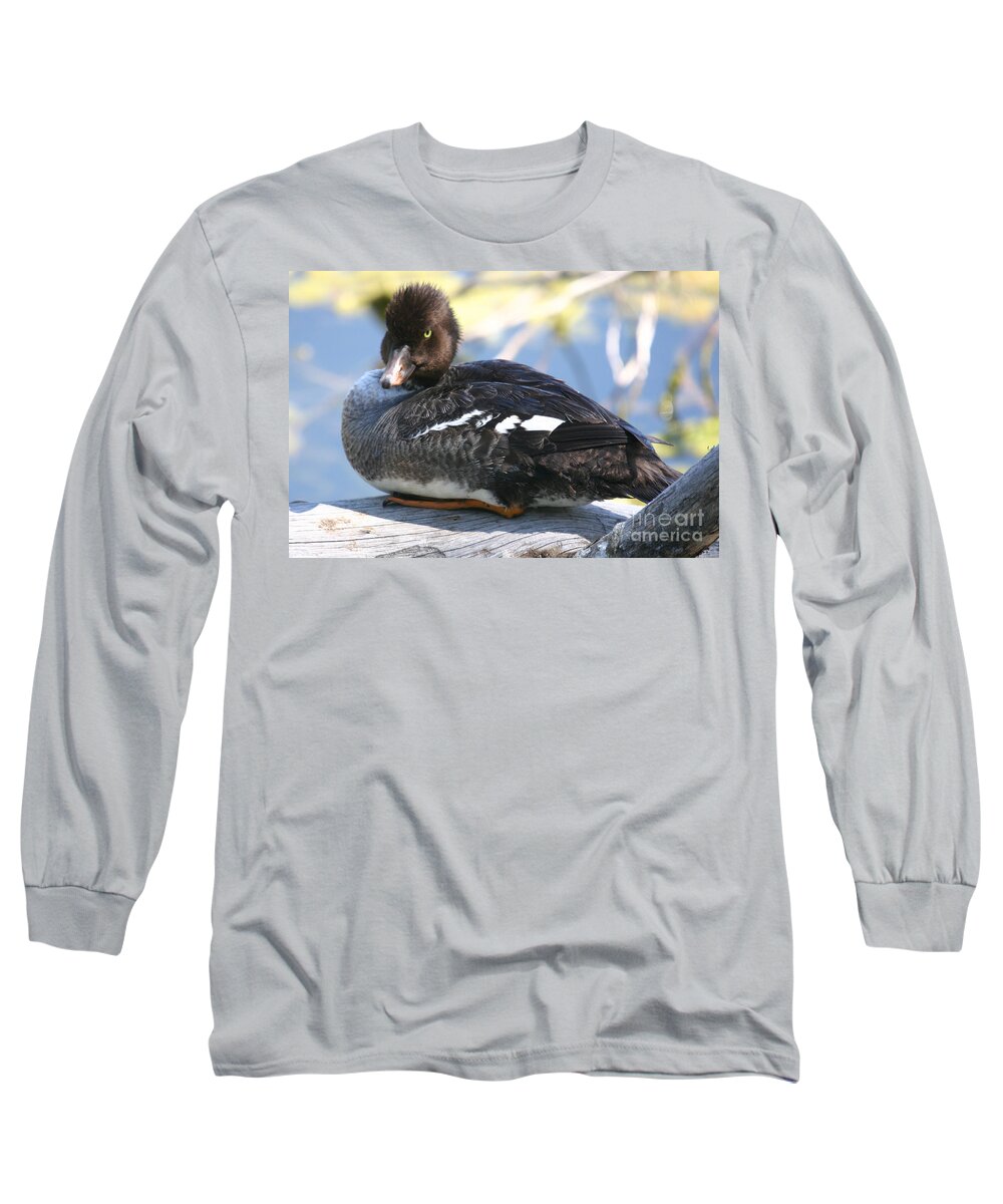 Montana Long Sleeve T-Shirt featuring the photograph Goldeneye by Bob Hislop
